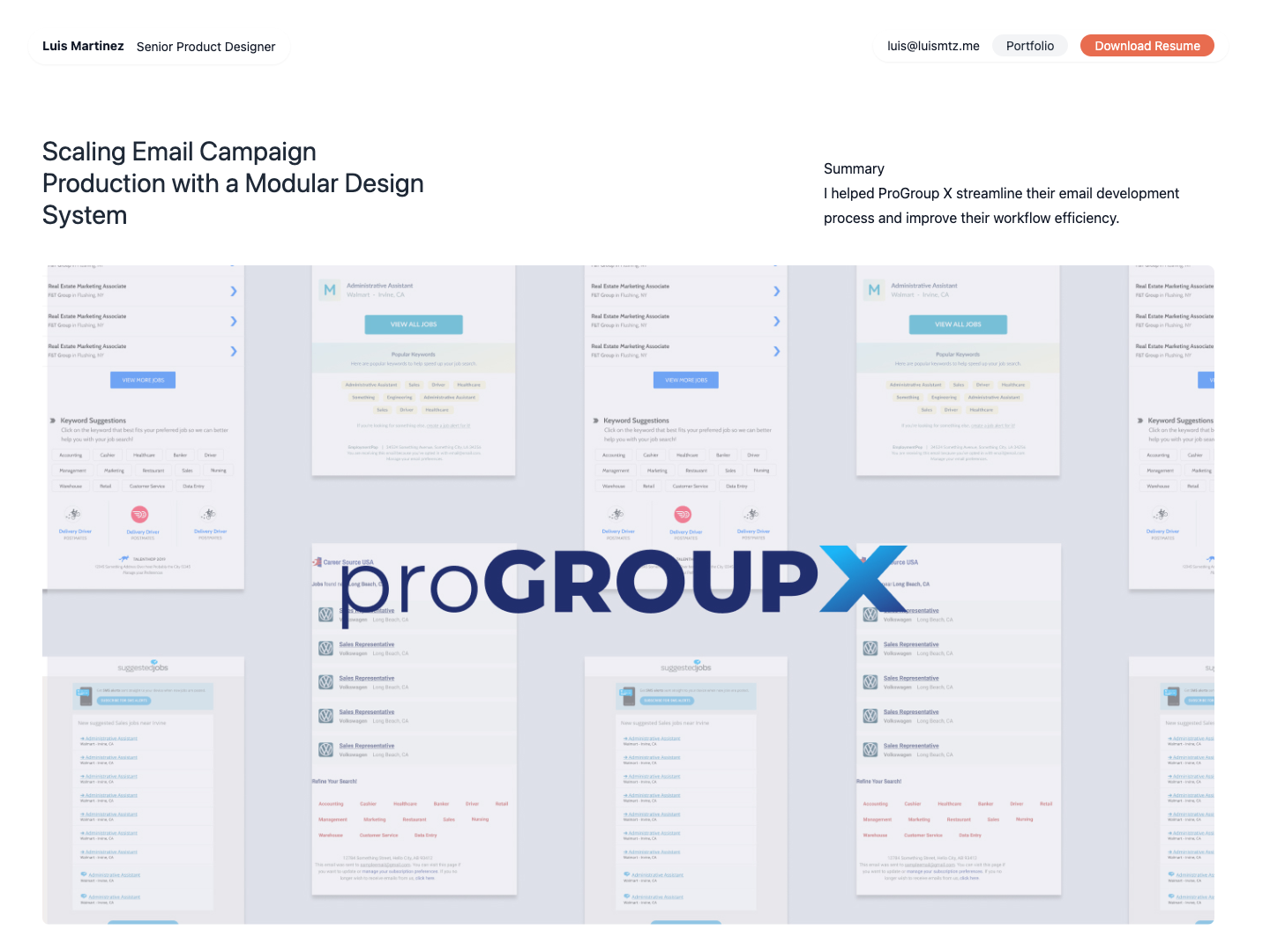 ProGroup X portfolio presentation showing the modular email campaign system